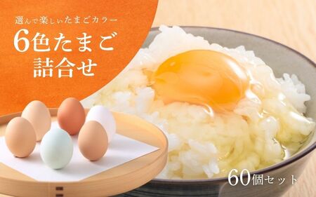 キムラファームの産みたて卵 6色たまご詰合せ 60個 卵 卵 卵 卵 卵