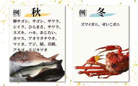 【定期便　隔月２回】【朝獲り】漁師厳選 鮮魚セット (中) 4種類以上 約3kg |  急速冷凍 詰め合わせ