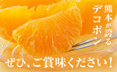 デコポン 約3kg 日本フルーツ株式会社 熊本県 荒尾市 《1月下旬-2月末頃出荷予定》 デコポン 果物 秀品 フルーツ スイーツ デザート ギフト ご贈答