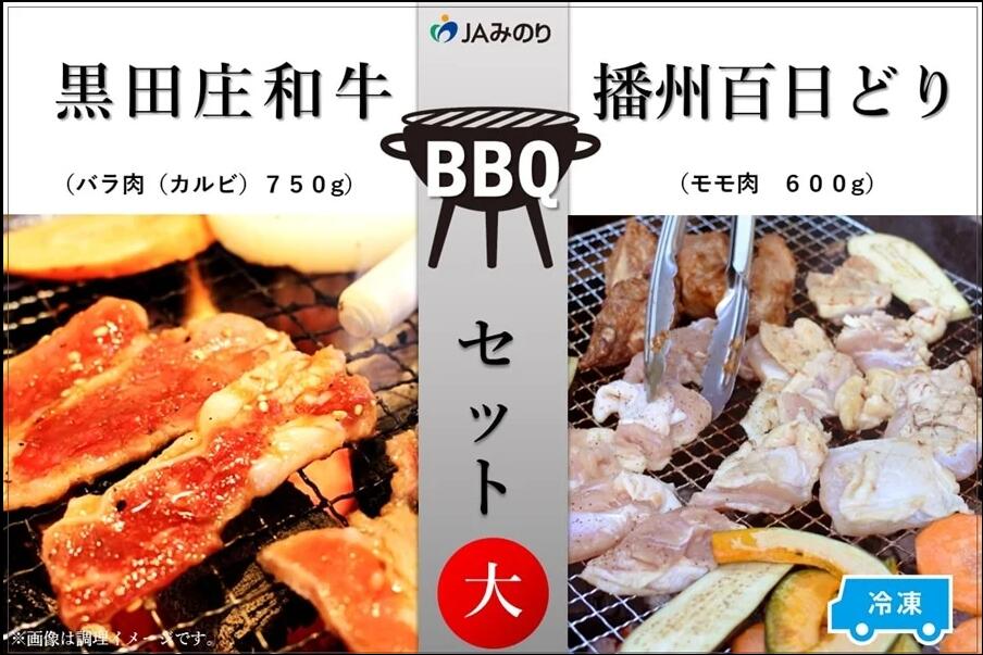 【ふるさと納税】黒田庄和牛＆播州百日どり　BBQセット（大）【冷凍】　【 お肉 牛肉 焼肉 バーベキュー BBQ 冷凍 カルビ 和牛 種類別 トレー 】