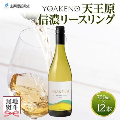 ふるさと納税 笛吹市 【のし付き】山梨県 YOAKENO 天王原信濃リースリング 12本 白ワイン モンデ酒造 笛吹市
