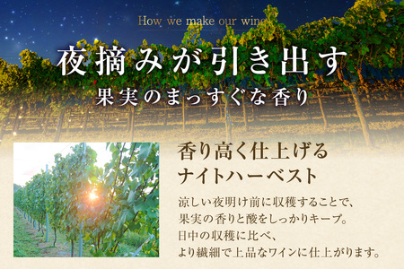 Chardonnay 2024/2025 爽 Assemblage 750ml・2本