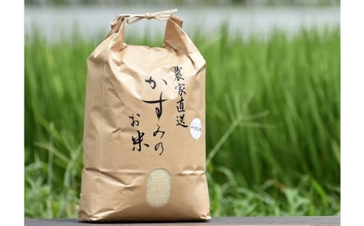 令和6年産米 美濃加茂の お米 定期便（毎月） 4回セット ( 10kg×4回 ) | ハツシモ 春見ライス 米 コメ M80S18