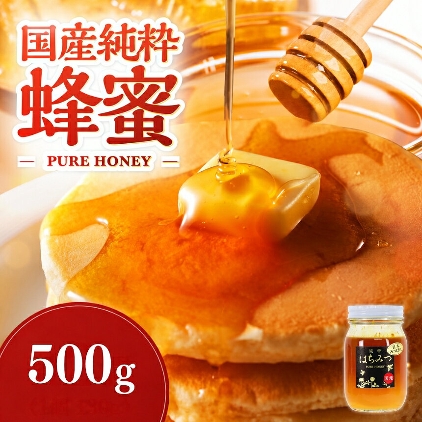 【ふるさと納税】天然はちみつ 500g （日本ミツバチ） ｜ 国産はちみつ 日本 蜂蜜 非加熱 はちみつ ハチミツ 百花蜂蜜 大分県産 九州産 中津市 国産 送料無料