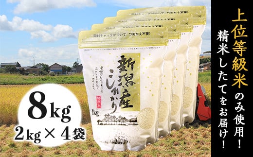 31-K81新潟県産コシヒカリ8kg（2kg×4袋）
