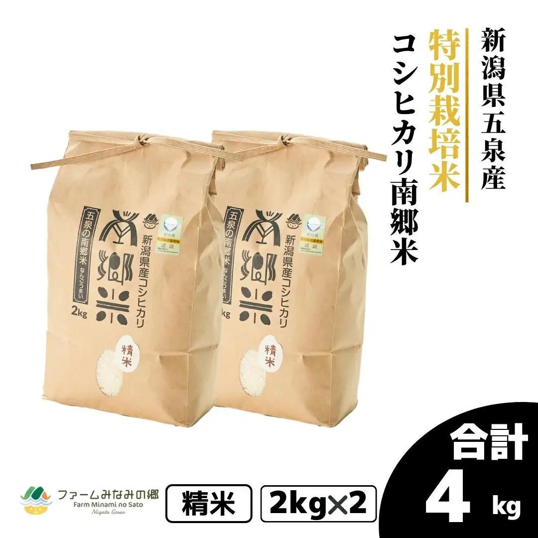 【先行予約】令和8年産 新米 コシヒカリ 南郷米 4kg(2kg×2袋) 特別栽培米【10月上旬発送開始】 | 新潟県産 白米 米 五泉市