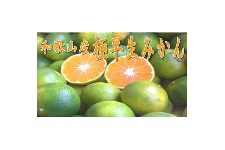 【0258-5】極早生みかん 10kg 和歌山産