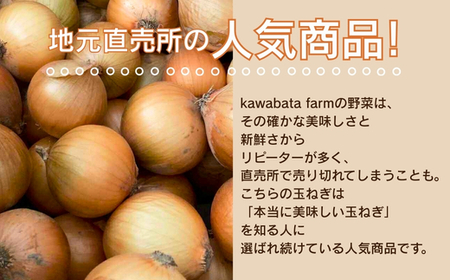【令和8年度産玉ねぎ先行予約】玉ねぎ 10kg×1箱 ※6月より発送予定