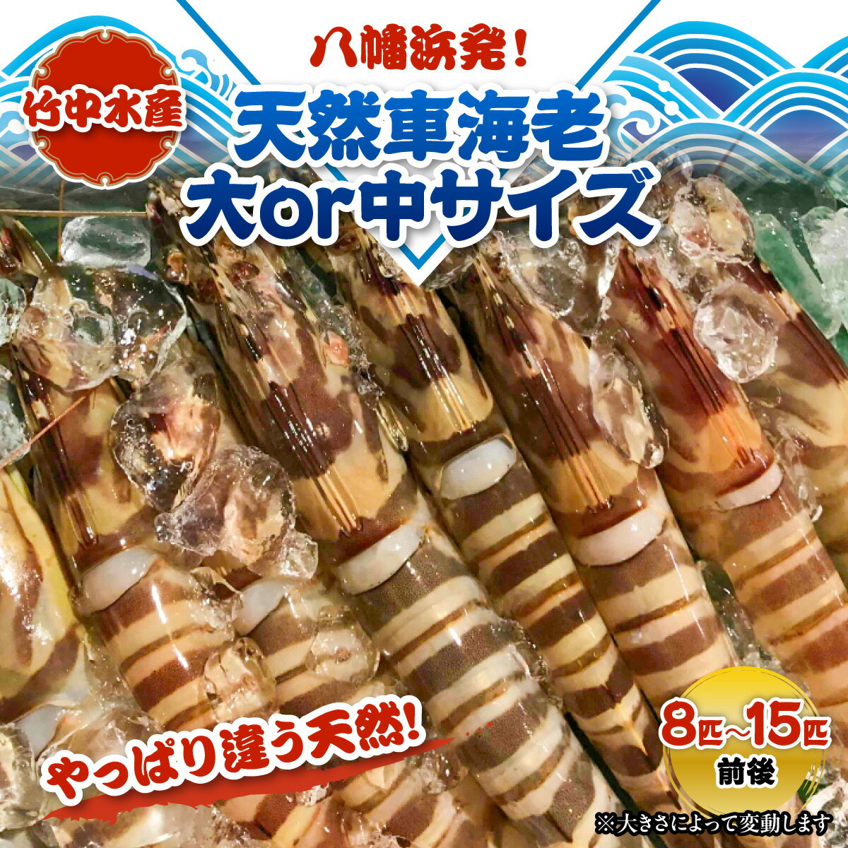 【ふるさと納税】八幡浜発!竹中水産の『天然車海老大or中サイズ』やっぱり違う天然! 【H22-224】_ 車海老 くるまえび 車えび 天然 エビ えび 海老 魚介 魚介類 海鮮 鮮魚 冷凍 BBQ 簡単調理 愛媛 八幡浜 産直 産地直送 【配送不可地域：離島】【1051209】YWTM042