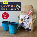 【ふるさと納税】先行予約 【令和6年産新米】 玄米 コシヒカリ 特別栽培米 （2kg） + 【美濃焼】 青輝貫入 マグカップ （2個） 【山松加藤松治郎商店】 [TEU026]