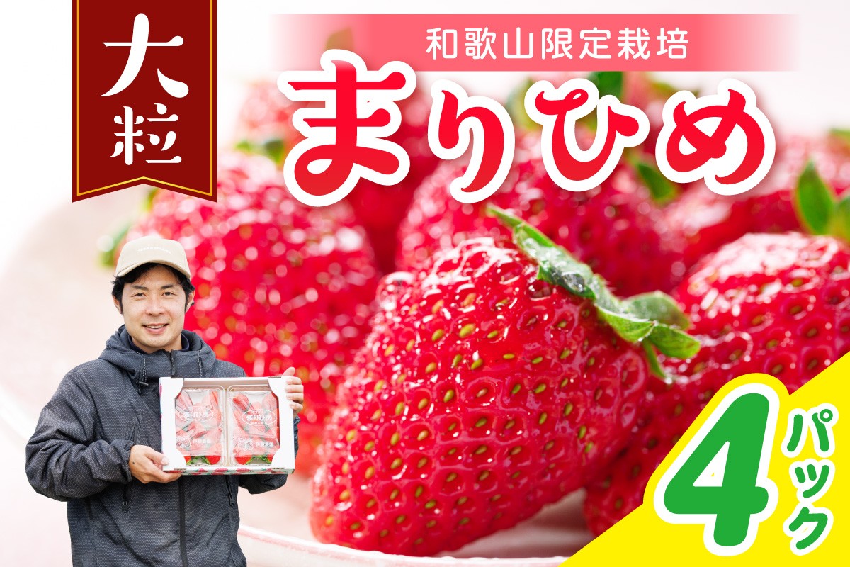 
                  まりひめ4パック《先行予約》2027年1月上旬頃～4月頃発送予定【配送不可地域：北海道・青森・秋田・岩手・沖縄・離島】
                