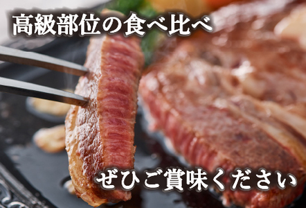 【A4等級以上】黒毛和牛ステーキ肉高級部位２種＜リブロース・サーロイン＞食べ比べ（計900ｇ）