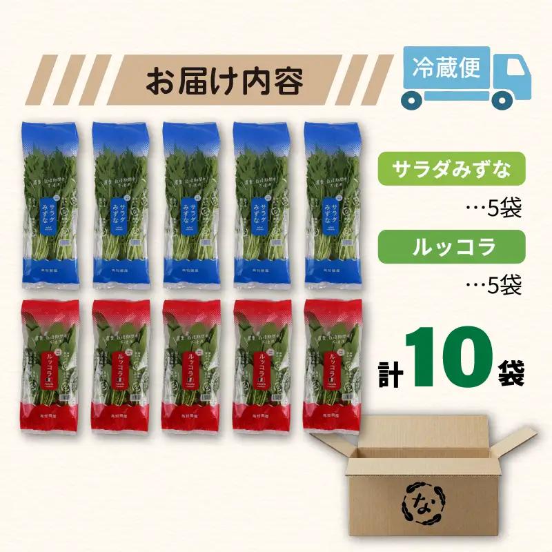 2種セット サラダみずな ルッコラ サラダセット | 水菜 水耕 栽培 新鮮 葉物 野菜 ドレッシング 南国市
