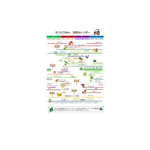 【定期便/3ヶ月お届け】たべとうみんの旬菜ボックス（お米付）