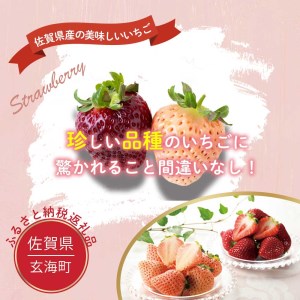 【数量限定！】こおりいちご　ミックス　1kg　品種：淡雪（あわゆき）・真紅の美鈴（しんくのみすず）【予約受付：5月以降順次配送】