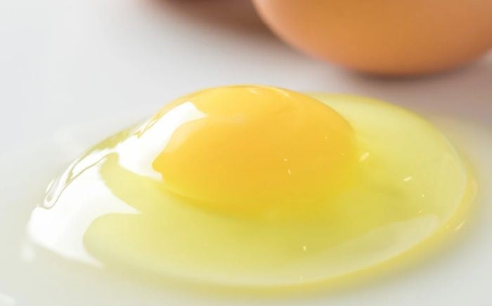 プリン ぷりん デザート スイーツ たまご 卵 鶏卵 玉子 生卵 平飼い 北海道