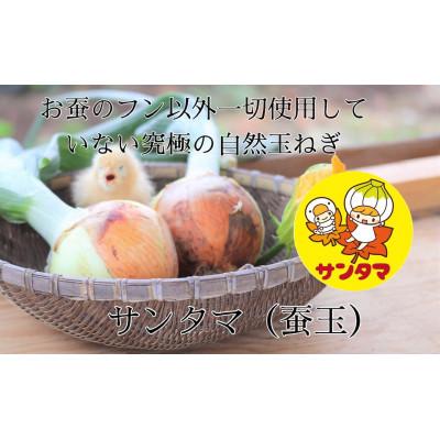 ふるさと納税 太田市 群馬県太田市産　有機JAS認証　新鮮な季節のオーガニック有機野菜　11点前後の詰め合わせセット |  | 02
