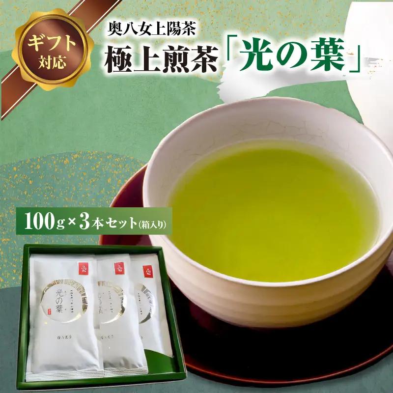 【ギフト用】奥八女上陽茶 極上煎茶「光の葉」100g×3本セット箱  茶 お茶 八女茶 緑茶 福岡県 八女市 178-001-GFT