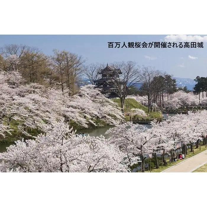 【新潟県】JTBふるさと旅行券（900,000円分）有効期間5年 | 予約 宿泊 観光 体験 温泉 ホテル 旅館 チケット 子供 子連れ カップル 家族 店頭 電話 新潟