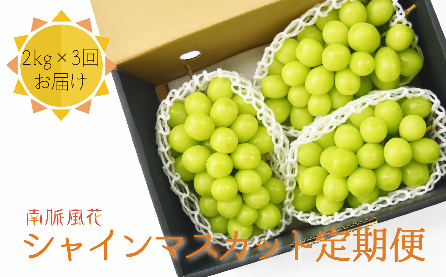 
            【先行予約】シャインマスカット贅沢定期便２㎏×３回 ALPAJ024
          