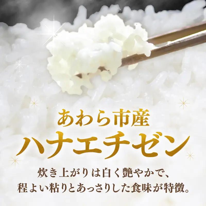 【先行予約】【令和8年産】定期便 ≪6ヶ月連続お届け≫ ハナエチゼン 精米 5kg（計30kg）（長谷川農園） お米 ※2026年10月より順次発送予定 [aw139-d004]