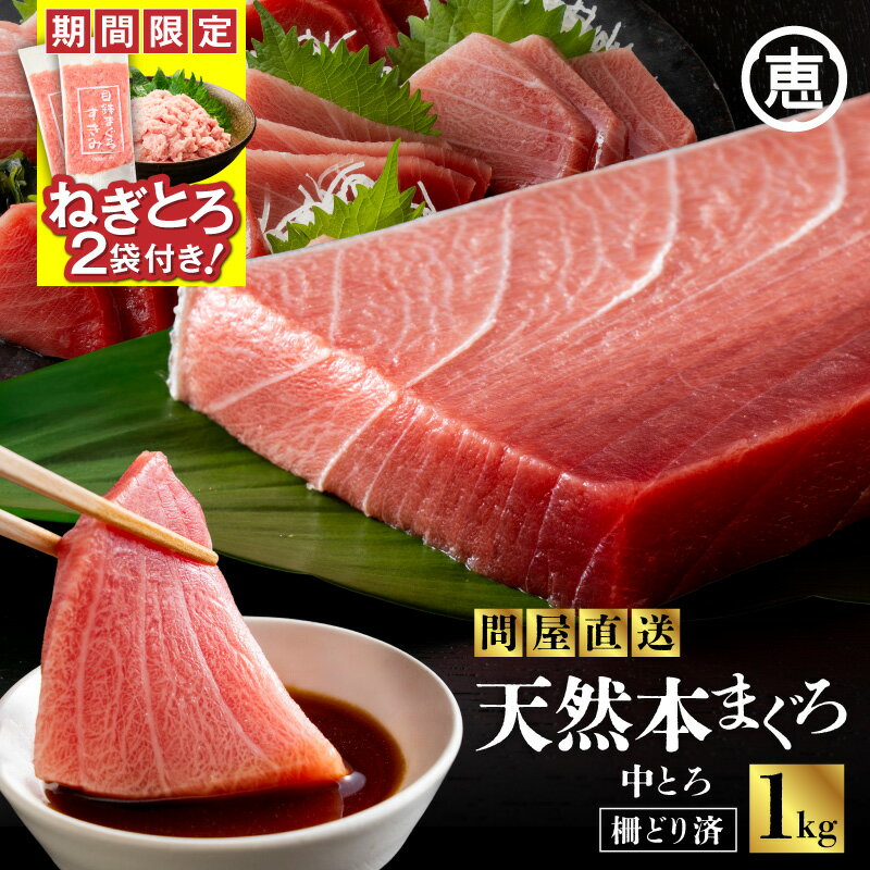 【ふるさと納税】【期間限定 ねぎとろ付き】 まぐろ専門 の 老舗問屋 からお届け とろける 上質 天然本まぐろ 中トロ 1kg分 赤身 マグロ 天然 本マグロ 赤身 刺身 魚 魚介 冷凍 おいしい 数量限定 三崎恵水産 神奈川県 三浦市 おすすめ ランキング プレゼント ギフト
