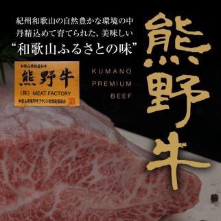 熊野牛 ロースステーキ　約600g【MT1】