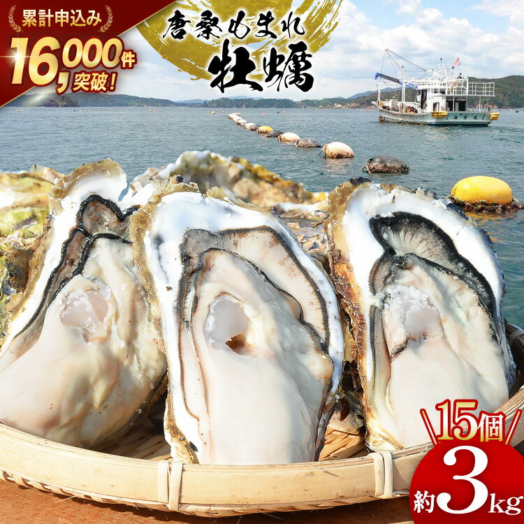 【ふるさと納税】 【期間限定発送】 テレビで紹介！累計申込み16,000件突破！唐桑もまれ牡蠣 15個 約3kg [戸羽平 宮城県 気仙沼市 20563890] 牡蠣 かき カキ もまれかき 殻付き牡蠣