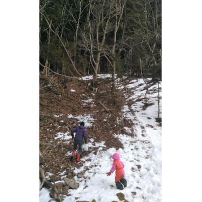 ふるさと納税 早川町 奈良田のメープルシロップ 50ml+100ml(各1本)【純国産】 |  | 02