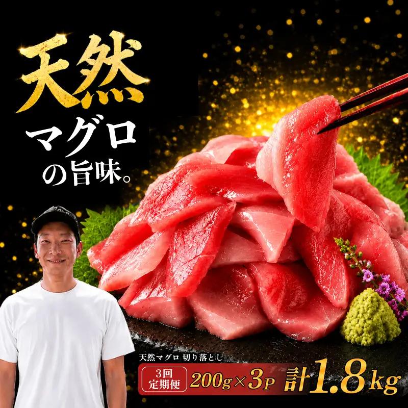 【3回定期便】天然マグロ切り落とし 200g×3P マグロ