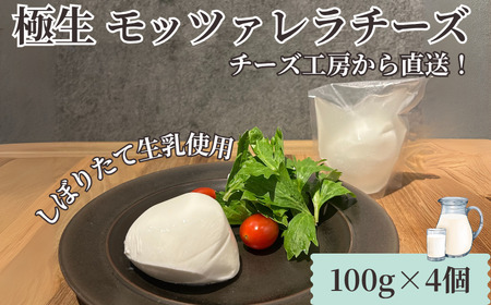 モッツァレラ チーズ 4個 極生 モッツァレラチーズ チーズ チーズ チーズ