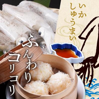 ふるさと納税 鹿島市 逸品!いかしゅうまい 10個入×2P |  | 02