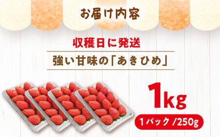 【先行予約】いちご あきひめ 250g×4パック[AUGA003]いちご