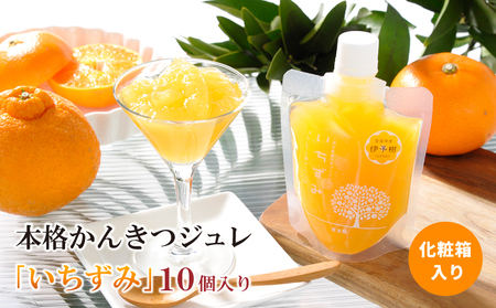 本格かんきつジュレ「いちずみ」 10個入り【化粧箱入り】1.7kg (170g×10個) | ゼリー ゼリー ゼリー ゼリー ゼリー【KK2191】