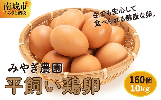 平飼い鶏卵10kg
