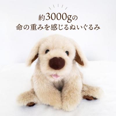ふるさと納税 糸島市 「パトラン」(重たいぬいぐるみ)《糸島》【科学工房未來】[AYI001] |  | 01