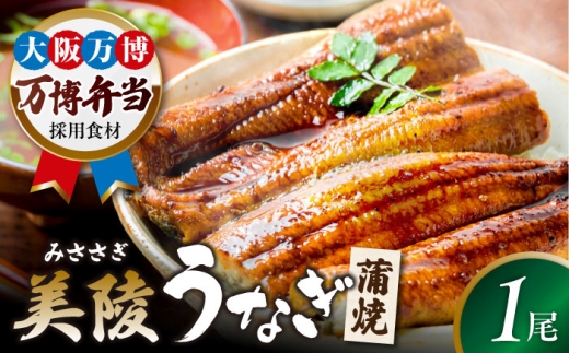 【お中元対象】鰻 鰻の蒲焼 1尾 / 美陵鰻 鰻 うなぎ ウナギ 蒲焼 蒲焼き かば焼き かばやき 白焼き 白焼 しろやき しらやき 特大 肉厚 うな重 うな丼 ひつまぶし 惣菜 おかず タレ 山椒 国産 スタミナ 土用 丑の日 ギフト 美陵鰻 関西風地焼き 高級 冷凍 白焼き 国産うなぎ ギフト おすすめ 人気 / 大阪府藤井寺市/Giverichホールディングス株式会社 [BLAM001]