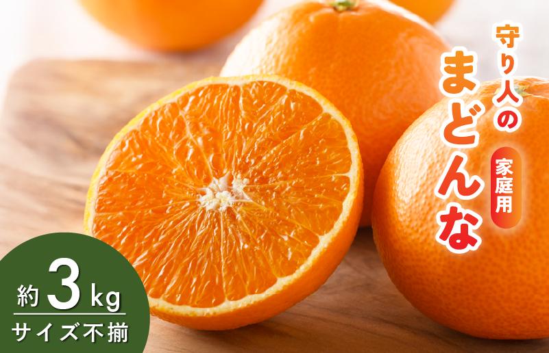 
                  [先行予約] [数量限定] 守り人のまどんな 3kg（家庭用） [K003060] 12月上旬～12月下旬に順次発送予定 まどんな 愛媛 マドンナ まどんな みかん 愛媛県 果物 フルーツ みかん 3kg 年内発送 甘い 高級 柑橘類 守り人
                