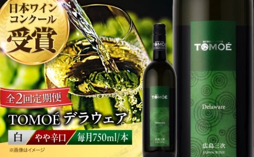 【全2回定期便】白ワイン TOMOEデラウェア 白ワイン やや辛口 750ml 1本 白 ワイン 受賞 ギフト 醸造 お酒 地酒 洋酒 テイスティング ソムリエ 広島県三次市産 国産 ぶどう 葡萄 ブドウ フルーティ ギフト 贈答 プレゼント お取り寄せ ご当地 みよし 三好 記念日 誕生日 クリスマスパーティー 産地直送 人気 おつまみ 三次市/広島三次ワイナリー[APAZ049]