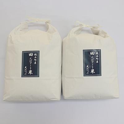 ふるさと納税 鏡石町 かがみいし田んぼアート産の福島県オリジナル品種「天のつぶ」　5kg×2袋(令和7年産米)