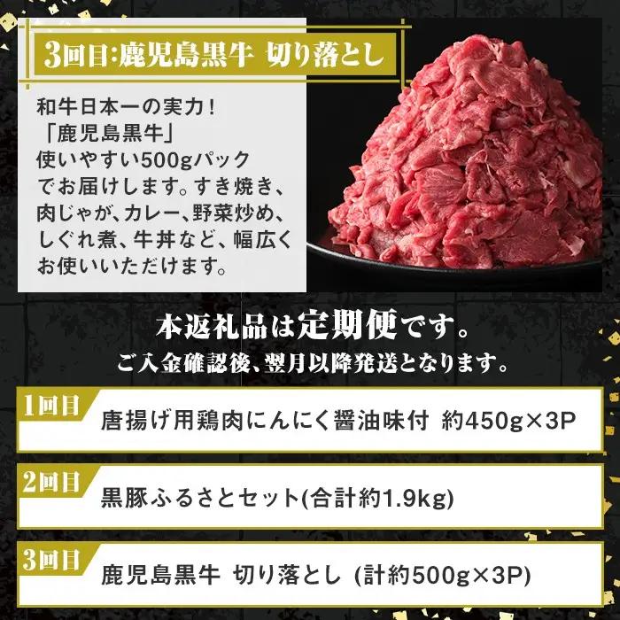 ＜定期便・全3回＞肝付町セレクト定期便《肉だらけ定期便A》 鹿児島 牛肉 黒毛和牛 豚肉 黒豚 鶏肉 唐揚げ 味付け 定期便 セレクト 加工品 肉加工品 簡単調理 冷凍 冷凍食品 【株式会社きもつき未
