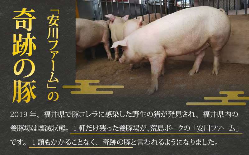 【福井のブランド豚肉】荒島ポーク食べ比べ焼き肉セット3点盛 700ｇ[A-054002]