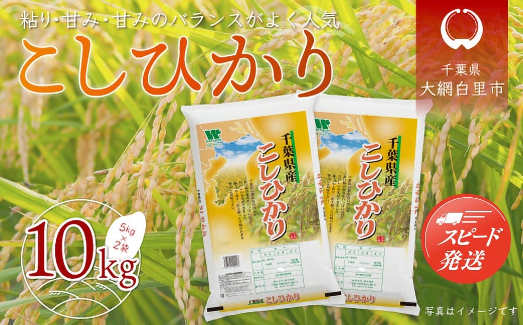 
                  【最短2～7営業日出荷】令和7年産 千葉県産「コシヒカリ」10kg（5kg×2袋） お米 10kg 千葉県産 大網白里市 コシヒカリ 米 精米 こめ 送料無料 A011
                