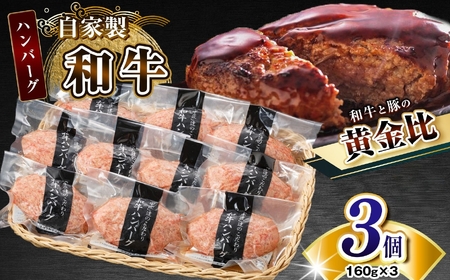 自家製和牛ハンバーグ(生・冷凍個別真空)　3個セット ｜ ハンバーグ 牛肉 牛 肉 にく 和牛 かずさ和牛 自家製 新鮮 オススメ 千葉県 君津市 きみつ