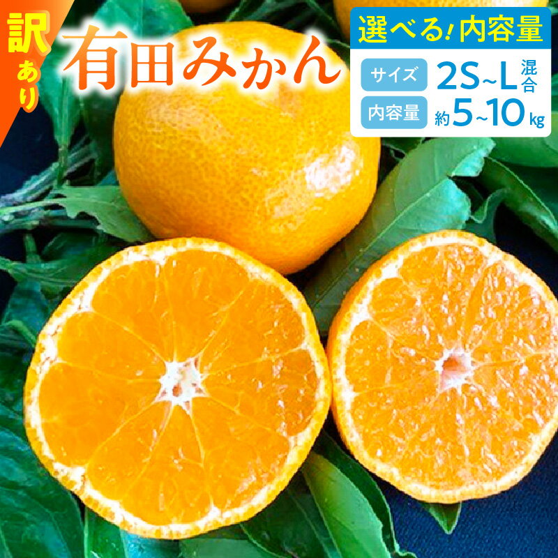 【ふるさと納税】【2025年先行予約】【数量限定】 訳あり 有田みかん 2S ～ Lサイズ 混合 選べる 内容量 5kg 10kg 【ミカン 蜜柑 柑橘 温州みかん 有田みかん 和歌山】