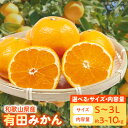 【ふるさと納税】【限定】 高評価 みかん 有田みかん 選べるサイズ&容量 S ～ 3Lサイズ 3kg 5kg 10kg 手選別 厳選 直送 国産 ブランド産地 有田 温州みかん 柑橘 果物 フルーツ 甘い コク うまみ 果汁 濃縮 濃厚 お取り寄せ 和歌山県 湯浅町 送料無料