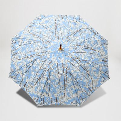 ふるさと納税 東大阪市 EMILY BURNINGHAM 晴雨兼用長傘47cm [ホワイトベリー] |  | 02