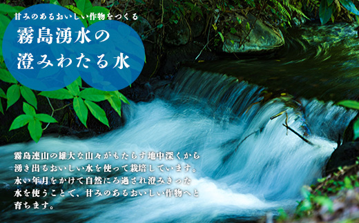 《新米》《先行受付》定期便3ヶ月 2024年産「きりしまのゆめ」ヒノヒカリ6kg×3回 霧島湧水が育むの減農薬栽培のお米(令和6年産・特別栽培米・無洗米・真空チャック式) TF0631