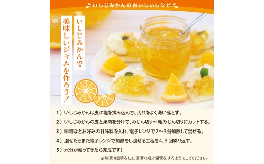 【先行受付】【2026年12月～発送】 倉橋ミカン食べてクレ園 いしじみかん 約5kg / 贈答用 甘い 完熟 オレンジ ワックス不使用 防腐剤不使用 温州ミカン 果実 倉橋島 広島県 呉市 ku15