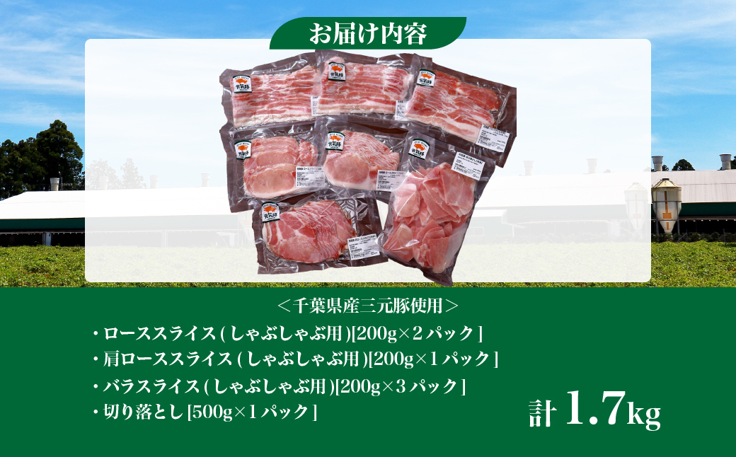 千葉県産豚肉　元気豚 精肉4種セット　1.7kg【配送不可地域：離島・沖縄県】 TAKB021